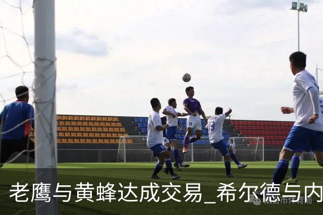 老鹰与黄蜂达成交易 希尔德与内姆哈德换芬尼-史密斯